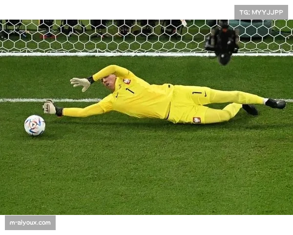 诺维奇点球大战惊险晋级 足总杯赛场门将两度扑点